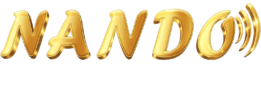 website logo nando
